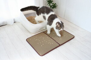 yzLюUh~}bg }bg gCpi Lpi ybgObY  }bg L lR  юUh~   hH ֗ pi ObY  lC 