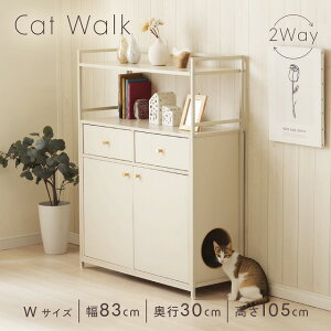 yX[p[Z[zzyzLbg EH[N WTCY L [ bN  Vv gl LCeA ybg pi Q gC