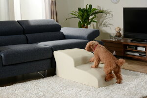 yzN[|tzyzuhbOXebvv2iyEւ͔zł܂z