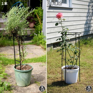 yzACAAT|[^[ r 4{Zbg r̂ 47cm n[tO |h~ L} X`[ S x | AT|[g t[T|[g ؉ Ԓd