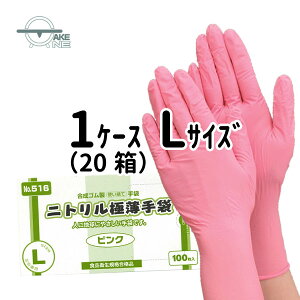 jg sN Gumjgɔ t 1 100 Hiq@Ki p ƗpS ĝĎ  y1P[X/20z 516