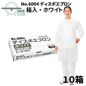 Gum pGv ĝ H  h lpGv |G` { Ɩp Ɨp h fBX|Gv  150 y10z zCg u[ sN 6004 60