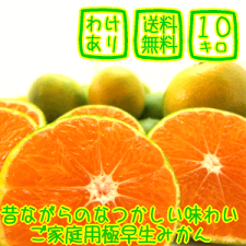 楽天市場 ご家庭用粗選別 外成完熟 有田みかん １０ｋｇ 送料無料 訳あり わけあり みかん類専門たけひこオレンジ農園
