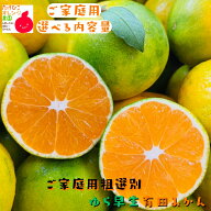 【予約】ご家庭用 粗選別 ゆら早生 有田みかん 選べる内容量_ わけあり 訳あり フルーツ 果物 送料無料 …