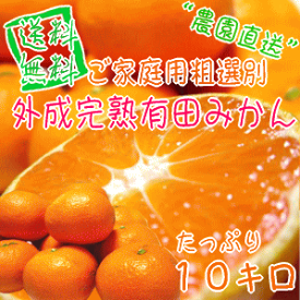 楽天市場 みかん 10kg 送料無料 訳ありの通販