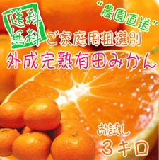 楽天市場 ご家庭用粗選別 外成完熟 有田みかん １０ｋｇ 送料無料 訳あり わけあり みかん類専門たけひこオレンジ農園