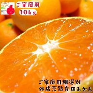 【早期予約価格】【エントリーで最大P10倍】ご家庭用 粗選別 外成 完熟 有田みかん 10kg +200g(傷み補償…