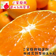 【早期予約価格】【エントリーで最大P10倍】ご家庭用 粗選別 外成 完熟 有田みかん 3kg～10kgまでお好み…