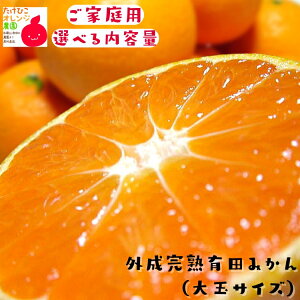 ƒp eI  O n Lc݂ 2L`3LTCY 2kg`10kg܂łD݂̓eʂI\_ 킯 󂠂 t[c ʕ  ~J  Yn B݂  a