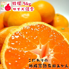 【早期予約価格】【エントリーで最大P10倍】特撰 完熟 有田みかん こだわりの 外成 完熟 有田みかん 5kg +200g(傷み補償分)_ フルーツ 果物 送料無料 ミカン みかん くだもの 産地直送 お歳暮 ギフト 和歌山 県 有田