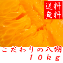 こだわりの八朔(はっさく) 10kg 【送料無料】【RCP】