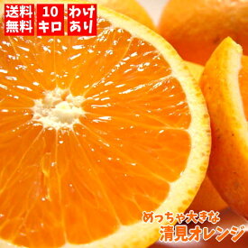 【予約】ジューシーさ満点!!めっちゃ大きな訳あり清見オレンジ　10kg 【送料無料】【わけあり】