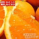 ご家庭用粗選別 清見オレンジ 約2.5kg 【送料無料】【訳あり】【わけあり】【RCP】