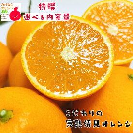 【予約】ジューシーな甘みたっぷり 特撰 清見オレンジ 1kg～10kgまでお好みの内容量が選択可能_ フルーツ 果物 送料無料 ミカン みかん くだもの 産地直送 お歳暮 ギフト 和歌山 和歌山県 有田 清美