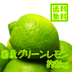 みずみずしさ満点の国産レモン
