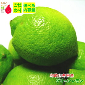 国産(和歌山有田産) グリーンレモン 選べる内容量_ ノーワックス ノー防腐剤 減農薬 フルーツ 果物 送料無料 檸檬 くだもの 産地直送 人気 ギフト 和歌山 和歌山県 有田