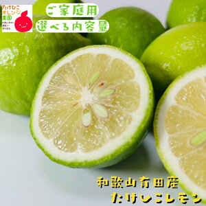 ƒp 킯 Y (a̎RLcY) Ђ  Iׂe_ 󂠂 m[bNX m[h _ t[c ʕ  EG  Yn lC a̎R a̎R Lc 2