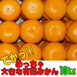 とってもジューシーな大玉有田みかんです♪