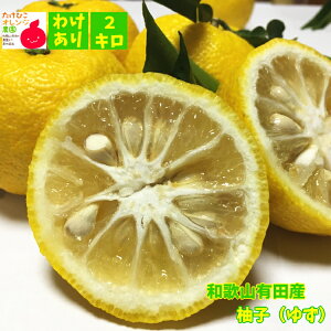 yGg[Ń|Cg10{zy\zƒpeI u₩ Mq (䂸) 2kg_ 킯 󂠂 t[c ʕ  m[bNX m[h  Yn _  a̎R 
