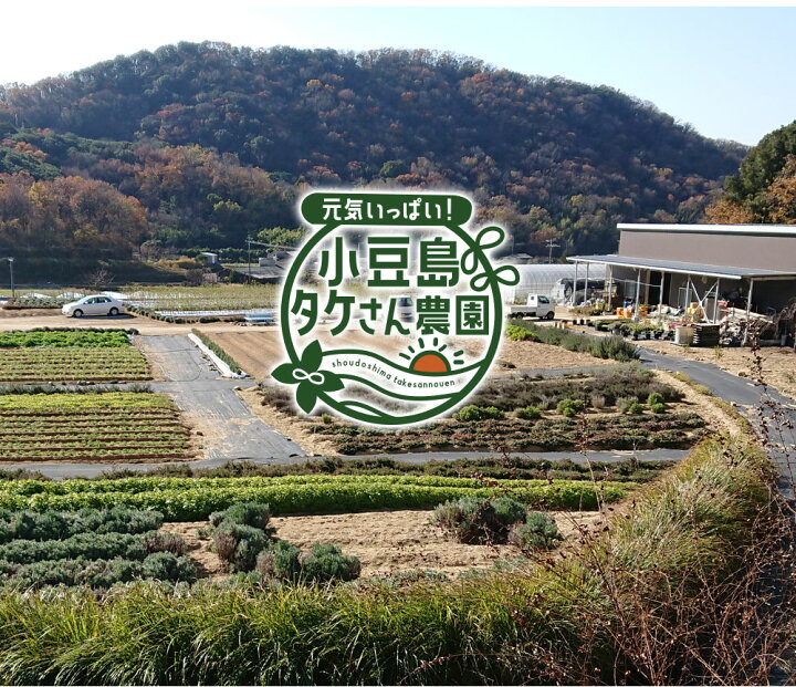 楽天市場】小豆島づくり トロっとかぼちゃドレッシング 185ml 