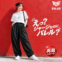 ＼楽天1位！／ ジャージ 下 レディース エスラッド ロングパンツ WING DRY ジャージパンツ トレーニング トラックパン…