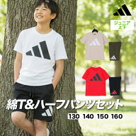 アディダス Tシャツ ハーフパンツ 上下 ジュニア セットアップ エッセンシャル 半袖 ビッグロゴ 綿 コッ…