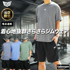 Tシャツ ハーフパンツ 上下 セットアップ メンズ 半袖 吸汗 速乾 ESM541 エスラッド 半袖グラフィック ESLAD 吸水速乾 ドライ 5/o タケスポ限定 定番 上下セット 大きいサイズ 有 プラクティスシャツ プラシャツ スポーツウェア トレーニングウェア