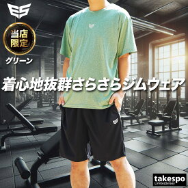 ＼楽天1位！／ Tシャツ ハーフパンツ 上下 メンズ セットアップ 半袖 吸汗 速乾 ESM541 エスラッド 半袖グラフィック 吸水速乾 ドライ ブランド ESLAD 5/o タケスポ限定 定番 上下セット 大きいサイズ 有 プラクティスシャツ プラシャツ スポーツウェア