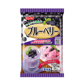 【まとめてお得】【5個販売】ニッスイ　ブルーベリーカナダ産　120g【5個セット】　冷凍食品