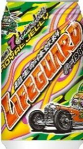 @܂Ƃ߂Ăy48̔z`FI@CtK[h@350ml×48