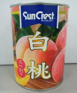 1܂Ƃߔy24̔z TNXg EO 4 425g ʎʋl