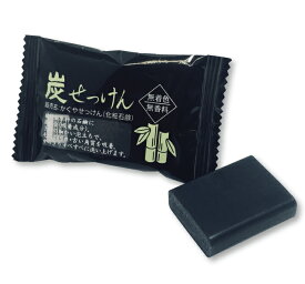 【お試し】【炭せっけんミニ14g（メール便）】炭 竹炭 チャコール 石鹸 せっけん 石けん 洗顔 乾燥肌 敏感肌 にきび クレンジング チャコール洗顔 ちゃこーる　洗顔 無添加 無香料 無着色 おためし トラベル 全身 赤ちゃん