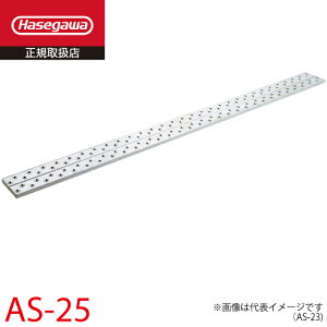 JH  AXe[W AS-25 SF5.00m ʁF16.3kg őgp100kg nZK