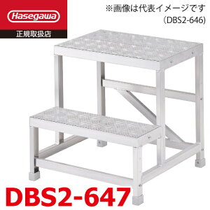 ���J��H�� (�z����@�l����) �g����Ƒ� DBS2-647 2�i �V�}�� �V�����F0.70m W60×D40×H70 �Ȕ� ���C�g�X�e�b�v �n�Z�K��