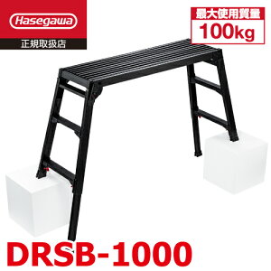 JH rLk DRSB-1000 ubN VF0.65`0.96m V100×30cm F nZK