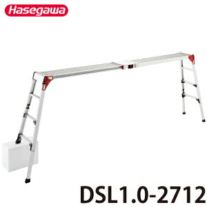 JH (z@l) VErLk DSL1.0-2712 VF0.89`1.20m őgpʁF120kg XmR nZK