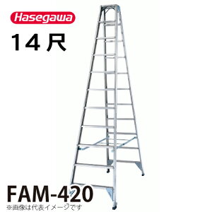JH (z@l) pr FAM-420 VF4.04m őgpʁF150kg nZK
