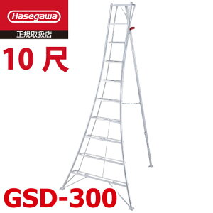 JH ut |Or 10 GSD-300 VF3.02m nZK