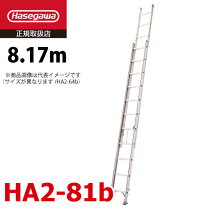 楽天市場】2連はしご 7mの通販
