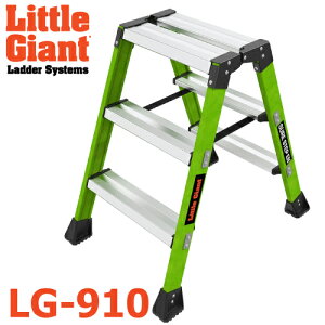 gWCAg (z@l) FRPr LG-910 3i 11398 VFAXebv ϓd VF0.65m őgpʁF170kg JH nZK