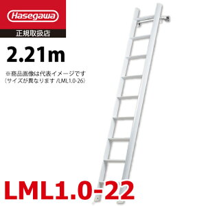 JH tg~p͂ LML1.0-22 SF2.21m őgpʁF100kg J[m  zCg nZK