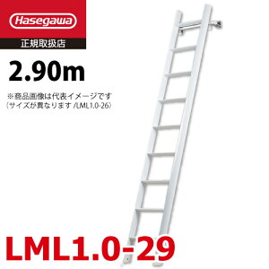 JH (z@l) tg~p͂ LML1.0-29 SF2.90m őgpʁF100kg J[m  zCg nZK