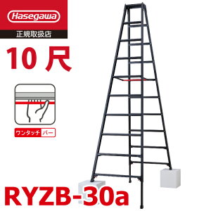 JH pLkr RYZB-30a 10 ubN rLk (ő31cm) VF2.82`3.13m  nZK10915