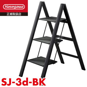 JH (z@l)  XXebv SJ-3d(BK) VF0.78m (O)SF49cm sF85cm F101cm ^^Cv nZK