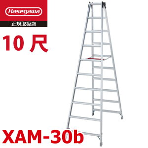 ���J��H�� (�z����@�l����) ��p�r�� XAM-30b �����^�b�`�o�[ �V�����F2.89m �ő�g�p���ʁF130kg ���� �n�Z�K��
