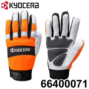 Z ([r/RYOBI) `F\[pO[u 66400071 یpi