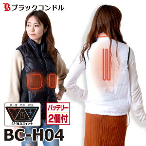 ubNRh@gI q[gxXg S`3LTCY ubN^zCg obe[2t@BC-H04 E^w^Oʁ@ƗXCb`̗p@q[^[xXg