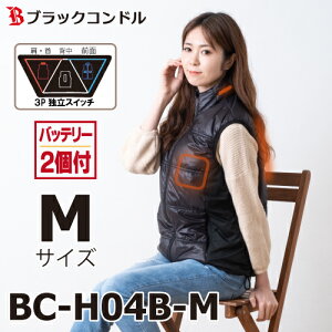 ubNRh@gI q[gxXg MTCY ubN obe[2t@BC-H04 E^w^Oʁ@ƗXCb`̗p@q[^[xXg