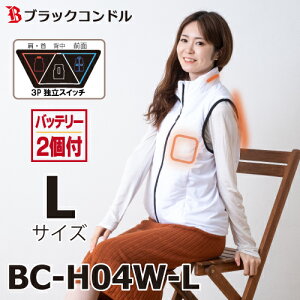 ubNRh@gI q[gxXg LTCY zCg obe[2t@BC-H04 E^w^Oʁ@ƗXCb`̗p@q[^[xXg