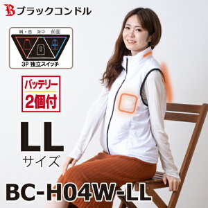 ubNRh@gI q[gxXg LLTCY zCg obe[2t@BC-H04 E^w^Oʁ@ƗXCb`̗p@q[^[xXg